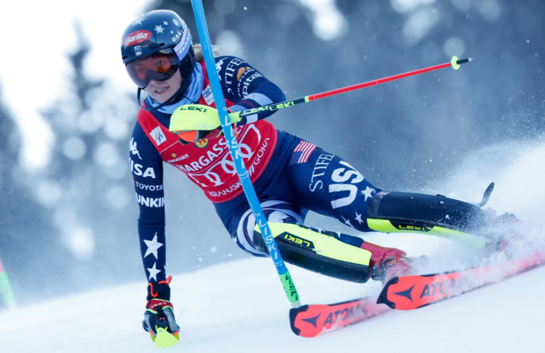 Alpine Skiing Image